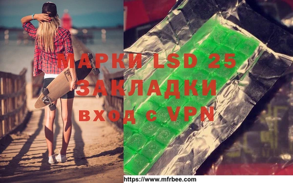 индика Кулебаки