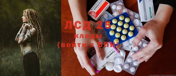 индика Кулебаки