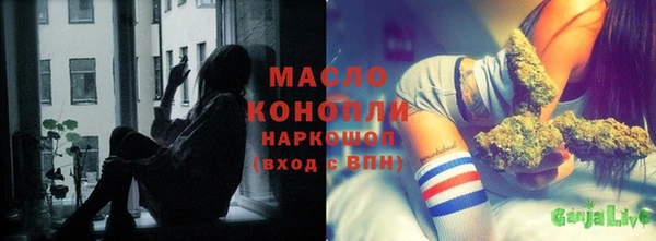 МДПВ Краснослободск