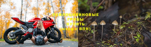 не бодяженный Тайга