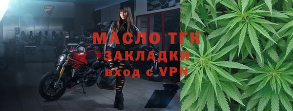 хмурый Кодинск