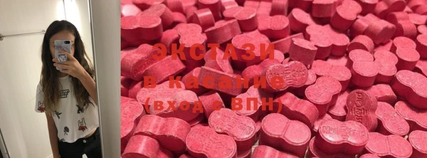 индика Кулебаки